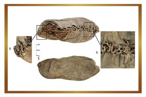 Arni-1 shoe, the oldest known leather clog in the world